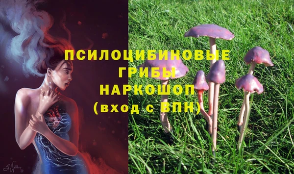 MDMA Алексин
