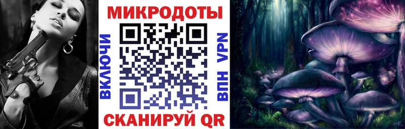 mega ONION  Медынь  Псилоцибиновые грибы Psilocybe 